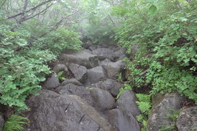道