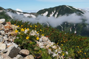 朝日岳