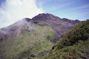 山頂をのぞむ