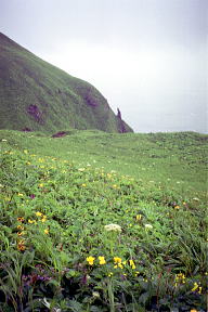 桃岩遊歩道