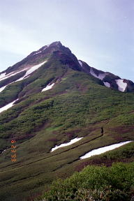 利尻山