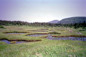 千沼が原