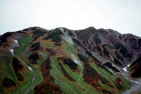 立山の紅葉