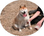 sČ
