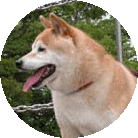 sČ