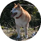sČ