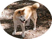sČ
