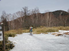 PORcoR