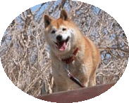 siŌj
