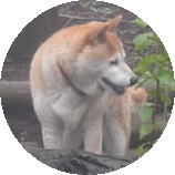 sČ