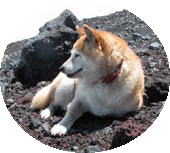 sŌ