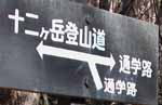 ʊwH̓W