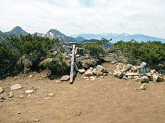 Vx