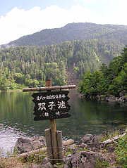 oqriYrj