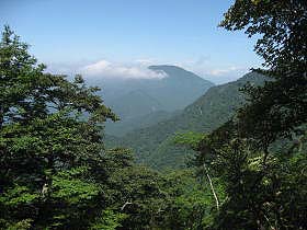 厺R