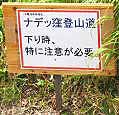 ifbEoR̕\