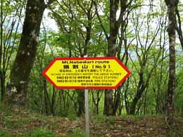No.9̕W