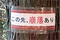 ̒ӌf