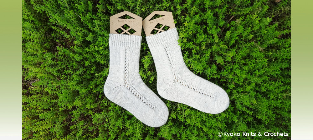 Local Train Journey Socks