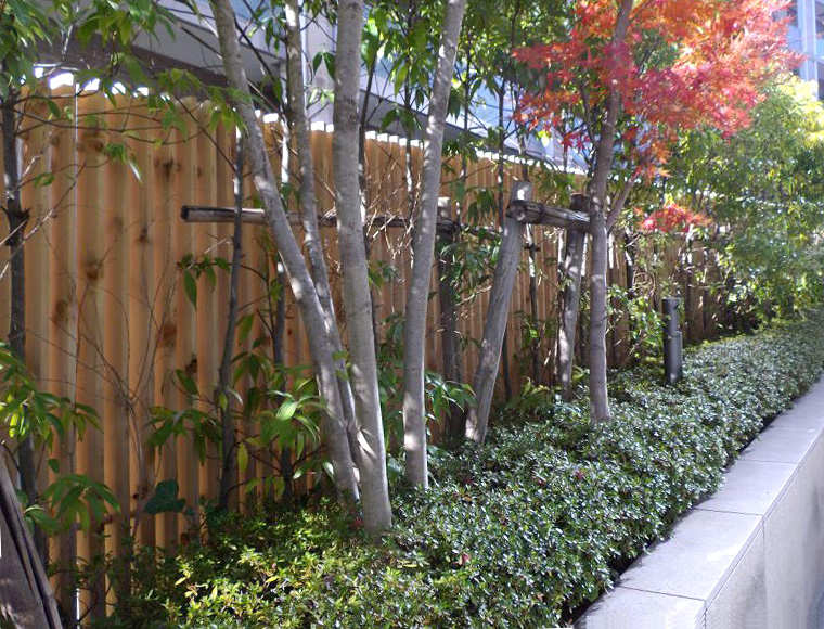 クロスポール構造の木格子スクリーン、木べえさん。 56角 目隠しフェンス。天然木ヒノキ