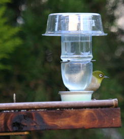 庭に野鳥を呼ぶ 餌台 バードフィーダー ヒヨドリ除け