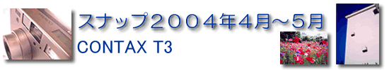 Xibvꂱ