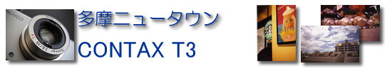 CONTAX@T3ŎBAj[^E̎ʐ^