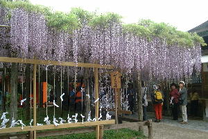 ������̓�