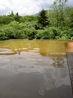 �΍L����I�V���C