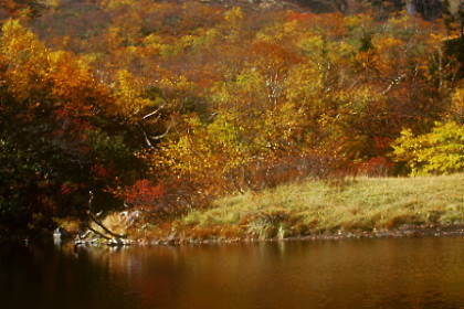 gallery-kagamidaira08