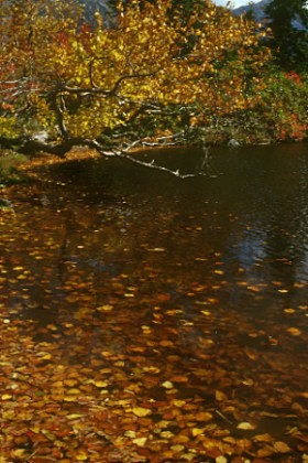 gallery-kagamidaira12