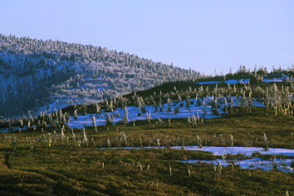 Wilderness of East Hokkaido #02
