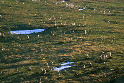 Wilderness of East Hokkaido #03