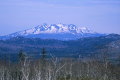 Wilderness of East Hokkaido #05