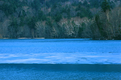 Wilderness of East Hokkaido #11