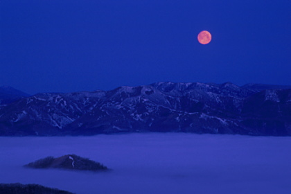 Wilderness of East Hokkaido #16