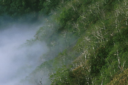 Mysterious Lake Masyu #14