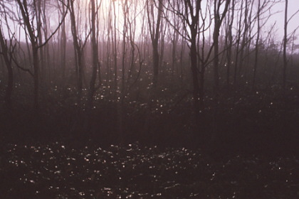 Mysterious Lake Masyu #15