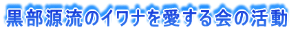 ̃Ci̊