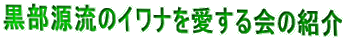 ̃CȉЉ