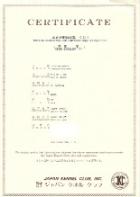 �b�c�P�F�菑