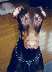 �G�������ł���