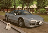 z_NSX