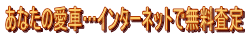 Ȃ̈ԁcC^[lbgŖ
