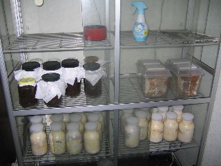 20070930_01.jpg