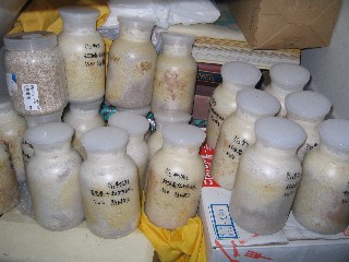 20070930_03.jpg