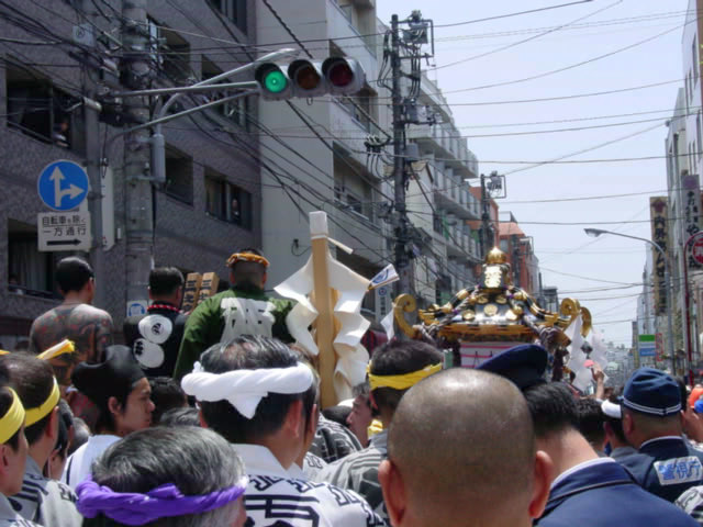 �O�V�{�����`