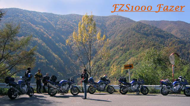 FZS1000 Fazer