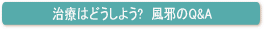 Â͂ǂ悤HׂQ&A