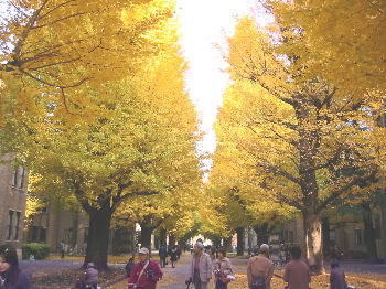 tokyo14"width=""hight="150"